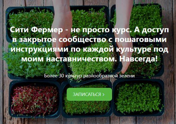 [Михаил Попов] Сити Фермер_ Свежая микрозелень у в_0.png